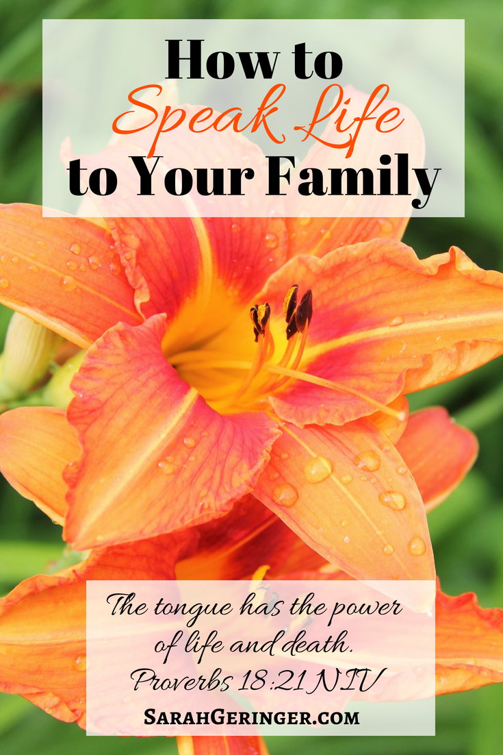 How To Speak Life To Your Family - Sarah Geringer