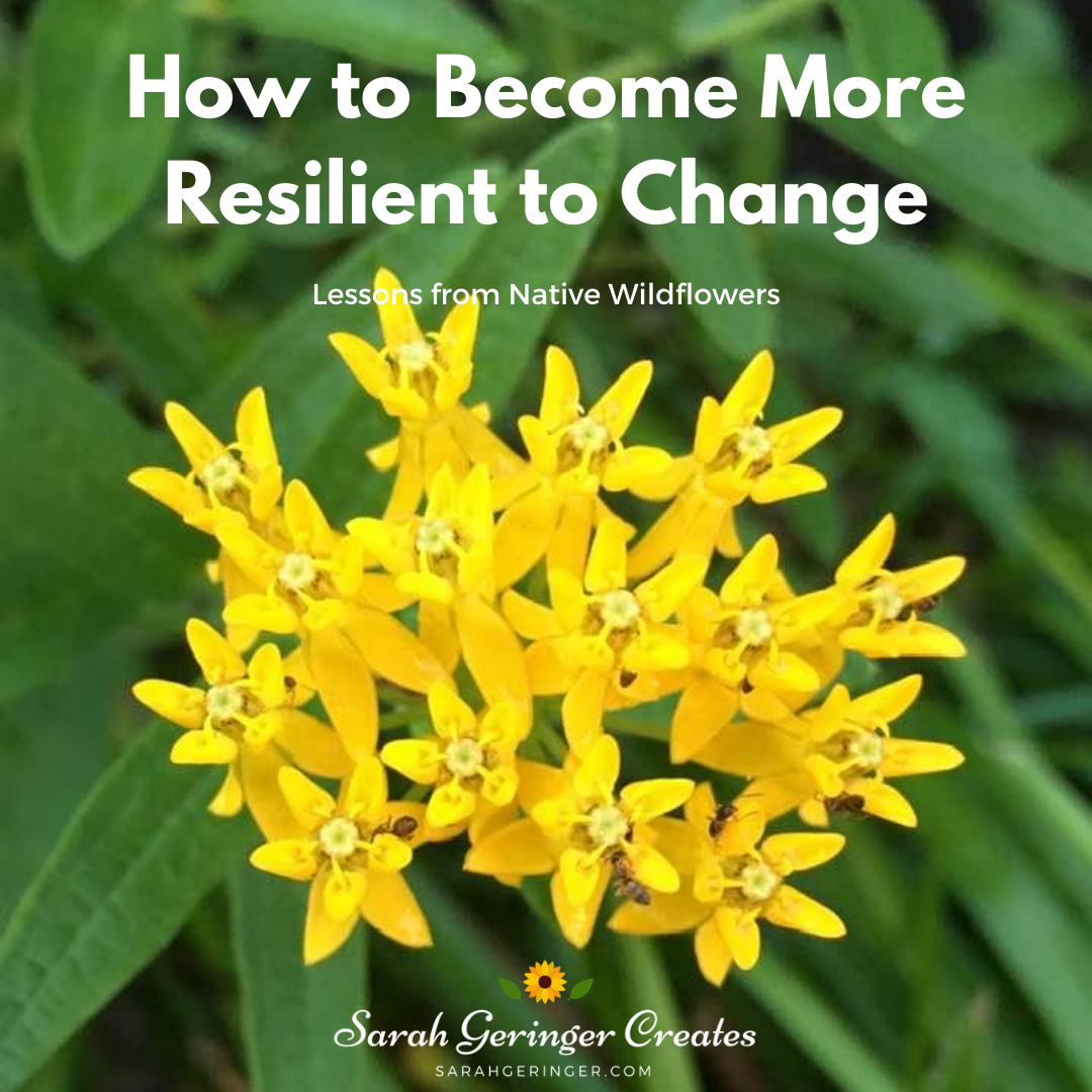 how-to-become-more-resilient-to-change-sarah-geringer